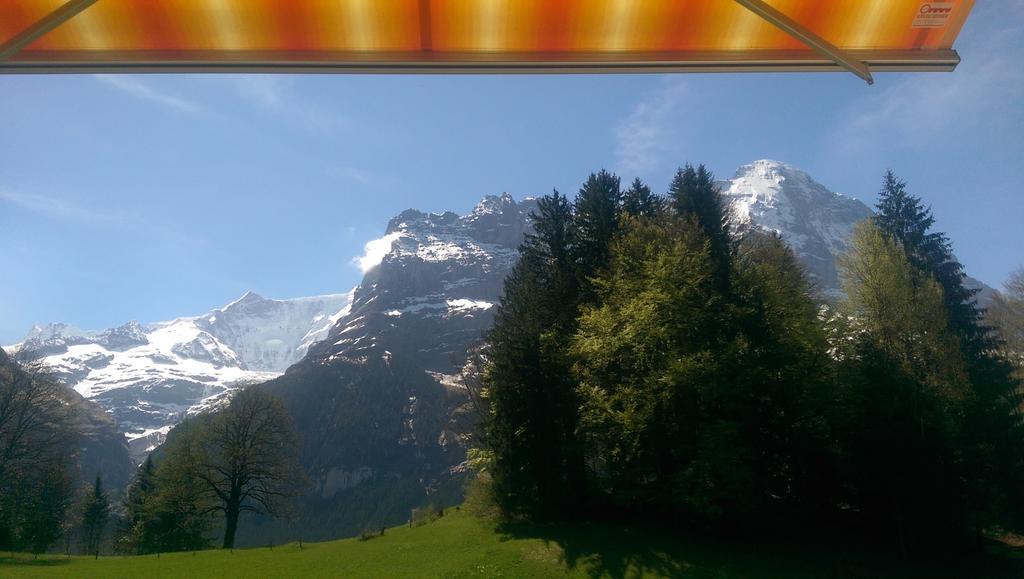 Mom - Alpine Boutique Apartments, Grindelwald Gletscher, Eiger View Terrace Studio Værelse billede