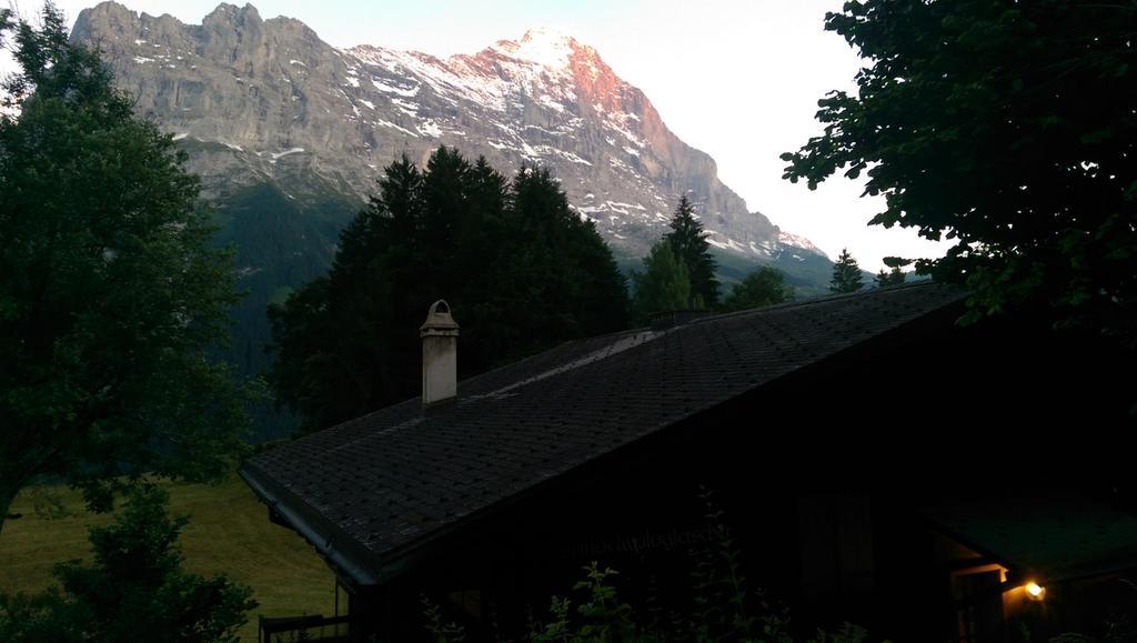 Mom - Alpine Boutique Apartments, Grindelwald Gletscher, Eiger View Terrace Studio Værelse billede