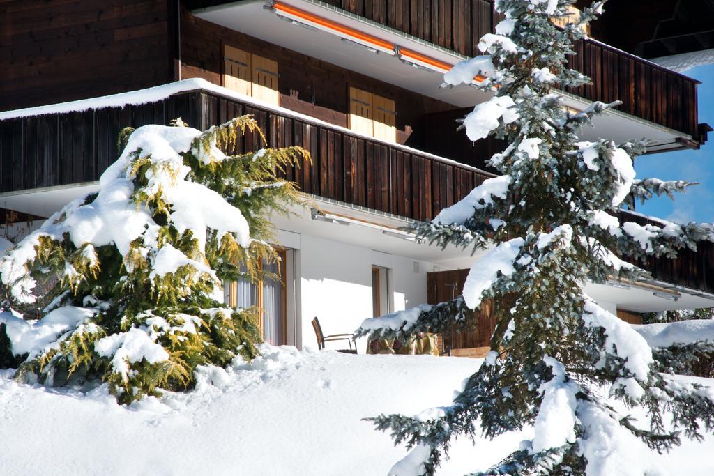 Mom - Alpine Boutique Apartments, Grindelwald Gletscher, Eiger View Terrace Studio Værelse billede