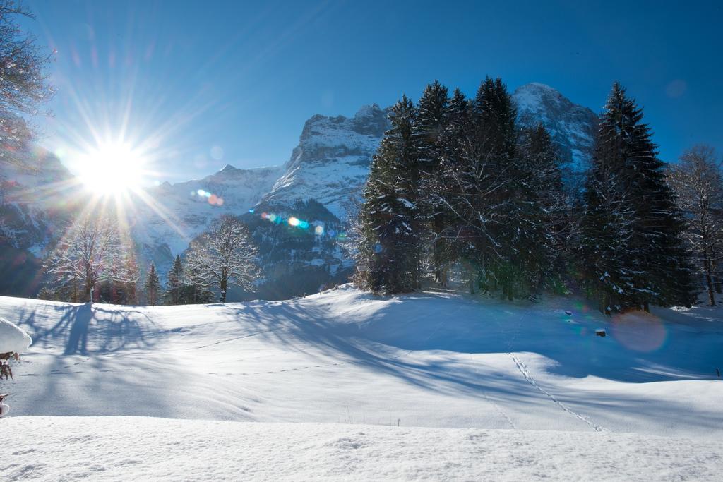 Mom - Alpine Boutique Apartments, Grindelwald Gletscher, Eiger View Terrace Studio Værelse billede